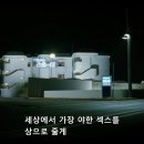 조제 (JOSEE) 이미지