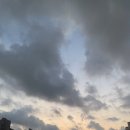 성용 태권도 | 크리스마스 29일 남음.(1024_1106)