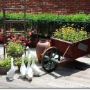 수영강변로 이미지