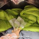 천안 두정점 셀프 빨래방(위니아24 크린샵 이불세탁건조)