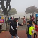 동포초등학교 이미지