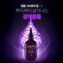 살롱드 마지 네이버블로그