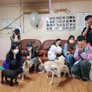 유미사 이미지