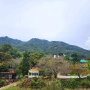 삼성사 이미지