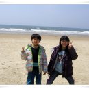 몽산포 송림 이미지