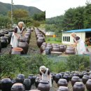 고천마실 이미지