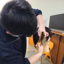 대중이발 이미지