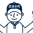 코코수리