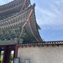 백송목재 | [도심 속 힐링 산책] 서울에서 가장 푸른 궁궐, 창경궁 방문 후기 (입장료 할인 꿀팁 & 대온실 식물원)