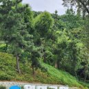 월미공원 서문매점 화장실 이미지