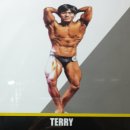 테리GYM 이미지