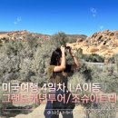 사우스타임모텔-가을동화 | 미국 4일차, 1박2일 그랜드캐년 투어 후기(내돈내산) + 조슈아트리 / LA출발-라스베가스도착 | 루트66...