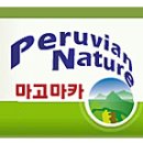쿨캣 이미지