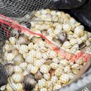 자연체험학습장 화장실 | 추천] 별빛 갯벌 캠핑장: 개인 화장실부터 갯벌 체험까지, 시설 끝판왕 후기! 🌊🦀 / 새로운 정보...