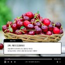 브릭스(Brix) 이미지