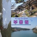 (주)포천교통 | 포천 소흘읍 감성카페 부용원 방문 후기 (호수뷰 한옥카페)