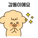 k카모터스 이미지