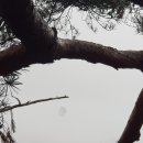 가리산 산행기(2) 이미지