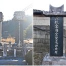 만취정 Daum카페