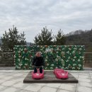 화신웰빙 | 청도 군파크 루지 아이랑 다녀온 후기｜아들의 최애 등극 - 2025 끝여행 (2)