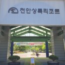 천안상록가족호텔 | 천안상록리조트 아쿠아피아 / 대전 세종 청주 근교 아기랑 갈만한곳 / 충남 아기랑 물놀이