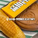 CAT&F 캣앤에프