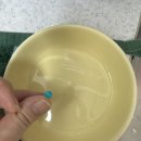 하얀강아지&고양이 | 고양이 식기 높이 받침대 1구 도자기 인히어런트 고양이식기 내돈내산 후기