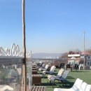 산책하는 고양이 이미지