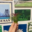 연희한의원 이미지