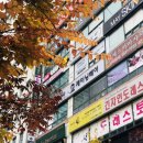 동아헤어타운