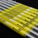 아이언피쉬 이미지