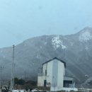 포도밭 옆 펜션 이미지