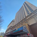 250033 | ✅ [제남2-1] 제남 여행 2일차 오전 — 호텔 조식 · 루이킨 커피배달 · 제남동물원