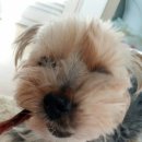 (주)쏘미 이미지