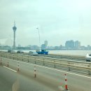 동방카월드 이미지