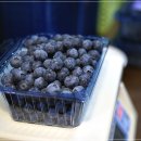 박경자농장 이미지