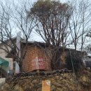 머루다래 민박 이미지