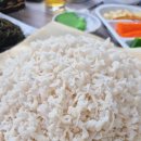 무진장횟집 | 무진장횟집 아나고회 반하고 온 후기 부산 당일치기 여행 기장 회 맛집 추천
