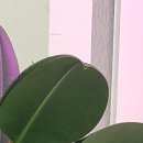 류마이준희내과의원 이미지