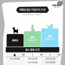 핫 독 | 점점 내용이 밝혀지는 힙독클럽 !! 이미 처음 신청부터 삐끗 ㅋㅋ