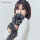 🐶 13살 강아지와 추억 기록 | 망원동 스튜디오 헤이지 후기
