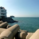 서천서해안횟집 이미지