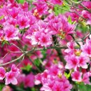 두메산골식당 앞 이미지