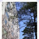 세창정보 이미지