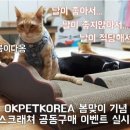 오케이공구 이미지