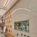 한라푸드 | 대만 주베이 한라이 상하이 탕바오 후기, 팀호완보다 만족스러운 만두 맛집