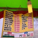 [오후N] 노래와 인생 | 경주 흥무로 벚꽃길 이것만 보면 끝! (N번째 방문)ㅣ시외버스터미널 근처, 야시장, 사진스팟