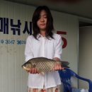 늘푸른낚시 이미지