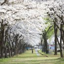 로하스대청공원 이미지