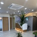 웰킨 두피 탈모 센터 이미지